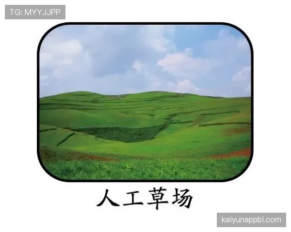 人工草场对足球规则有哪些特殊要求？全面拆解判罚细节